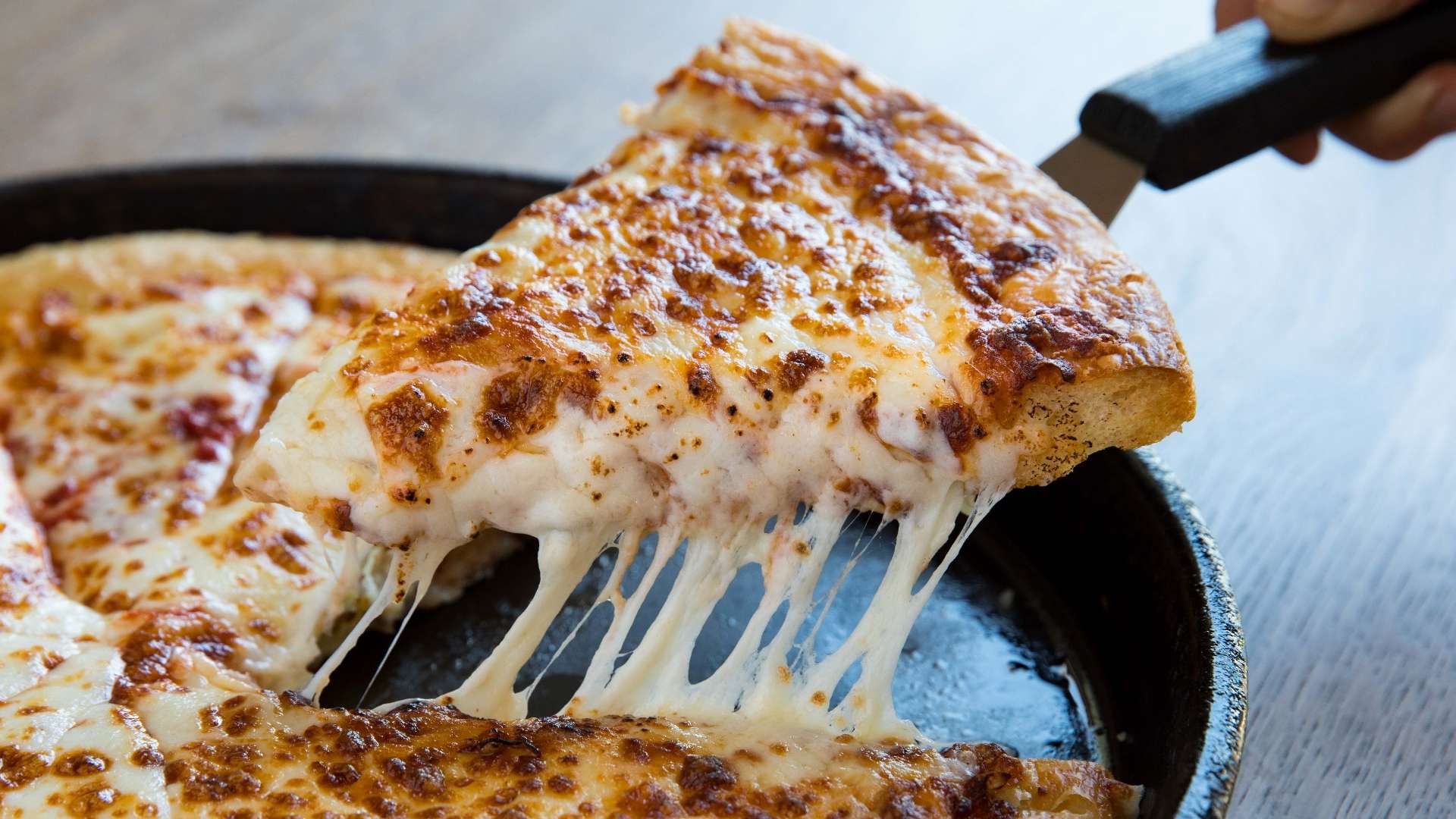 練員培訓班 練員培訓班